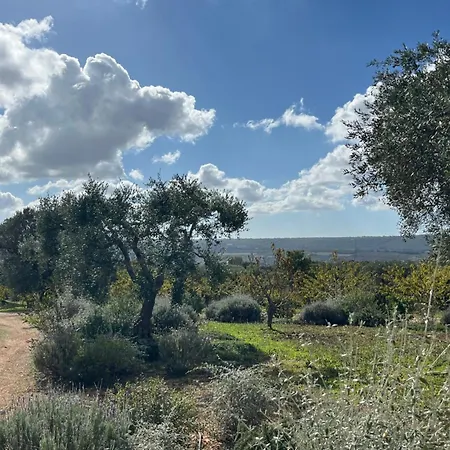 Holiday home Trullo Acquario *
