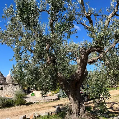 Trullo Acquario *